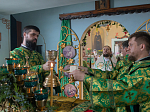 В праздник Святой Троицы Правящий Архиерей совершил Литургию в Свято-Троицком храме г. Россоши