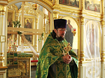 Праздник Святой Троицы в Тихоновском соборном храме Острогожска