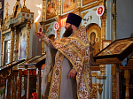 Благодатный огонь в Каменке