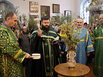 В Казанском храме Каменки молитвенно встретили Вербное воскресение