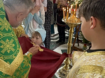 Престольные торжества в Троицком храме села Новая Калитва