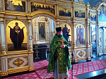 В праздник Входа Господня во Иерусалим в Свято-Тихоновском соборном храме города Острогожска совершено торжественное богослужение