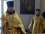 Правящий Архиерей совершил Литургию в Георгиевском храме села Терновое Острогожского района