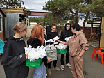 Калачеевский аграрный техникум присоединился к масштабной благотворительной акции «Белый цветок»