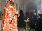 Епископ Борисоглебский и Бутурлиновский Сергий совместно с епископом Россошанским и Острогожским Дионисием совершили Литургию в Костомаровском Спасском женском монастыре