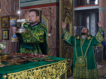В праздник Входа Господня в Иерусалим глава Россошанской епархии совершил Литургию в Свято-Ильинском кафедральном соборе города Россоши