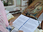 Жители села Петренково Острогожского района помолились перед чтимой иконой Божьей Матери «Оршанская»
