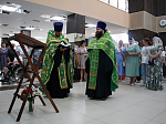 День православной семьи в Каменке