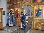 Соборная служба в храме Архистратига Михаила села Александровка-Донская