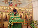 В день престольного торжества Преосвященнейший епископ Дионисий совершил Литургию в Духовском храме с. Петренково