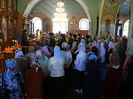 Крестный ход с иконой Божьей Матери «Знамение» в г. Павловск