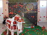 В Острогожском районе прошел уникальный фестиваль «Цветущая яблоня»