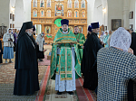Епископ Дионисий возглавил престольное торжество храма святого благоверного князя Александра Невского с. Петровка