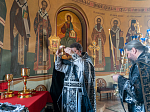 В пятницу первой седмицы Великого поста митрополит Воронежский и Лискинский Сергий совершил Литургию Преждеосвященных Даров