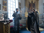 В среду 2-й седмицы Великого поста епископ Дионисий совершил Литургию Преждеосвященных Даров в Казанском храме пгт. Каменка