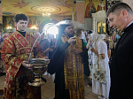 Епископ Россошанский и Острогожский Дионисий приняли участие в крестном ходе с иконой Божией Матери «Спорительница хлебов»