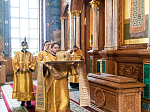 В день памяти святителя Антония (Смирницкого), архиепископа Воронежского, митрополит Воронежский и Лискинcкий Сергий возглавил служение Божественной литургии