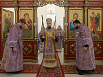 В Неделю вторую Великого поста Преосвященнейший епископ Дионисий совершил Литургию в Покровском храме с. Шапошниковка