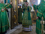 В праздник Входа Господня в Иерусалим глава Россошанской епархии совершил Литургию в Свято-Ильинском кафедральном соборе города Россоши