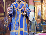 Епископ Россошанский и Острогожский Дионисий вместе с Архипастырями епархий Воронежской митрополии совершил Божественную литургию