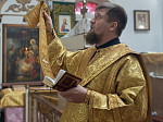 Правящий Архиерей совершил Литургию в Георгиевском храме села Терновое Острогожского района
