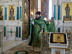 Епископ Россошанский и Острогожский Дионисий возглавил служение Божественной литургии в Свято-Ильинском кафедральном соборе города Россоши