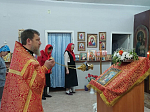 Служба в Костово