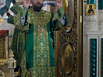Епископ Россошанский и Острогожский Дионисий возглавил служение Божественной литургии в Свято-Ильинском кафедральном соборе города Россоши