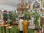 В праздник Пятидесятницы в храме села Терновое Острогожского района совершено торжественное богослужение