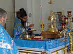 Дивногорский Крестный ход