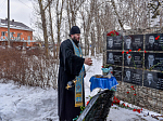 В городе Калач прошло тематическое мероприятие  «Солдат войны не выбирает»