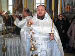 В праздник Крещения Господня благочинный совершил Божественную литургию