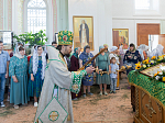 Епископ Россошанский и Острогожский Дионисий совершил Божественную литургию в храме Святого Духа с. Петренково Острогожского района