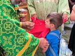 Приходы Павловского благочиния отметили День Святой Троицы праздничным богослужением