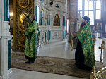 Секретарь Россошанского епархиального управления совершил всенощное бдение в Свято-Ильинском кафедральном соборе города Россоши