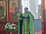 В храме Покрова Пресвятой Богородицы сл. Шапошниковка встретили день Святой Троицы