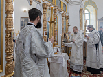 Архипастырский визит в Богучарское благочиние