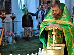 День Святого Духа молитвенно встретили в Покровском храме Шапошниковки