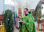 Божественная литургия в Успенском храме села Трехстенки