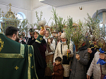 В Казанском храме Каменки молитвенно встретили Вербное воскресение