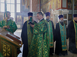 Глава Россошанской епархии возглавил служение молебна святым Петру и Февронии Муромским в Свято-Ильинском кафедральном соборе г. Россошь