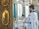 В Троицкую родительскую субботу епископ Россошанский и Острогожский Дионисий совершил Божественную литургию в Ильинском кафедральном соборе г. Россошь