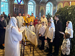 Воспитанники воскресной школы при Михаило-Архангельском храме города Острогожска поздравили прихожан с Рождеством Христовым