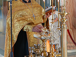 Служба в день Собора Воронежских святых в Ильинском кафедральном соборе