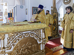 Архипастырь возглавил торжества, посвященные 20-летию со дня Великого освящения храма во имя святителя Митрофана, первого епископа Воронежского села Верхний Мамон