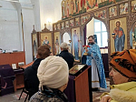 Праздник Благовещения Пресвятой Богородицы встретили в Павловском благочинии