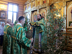 Троица в Богучарском благочинии