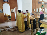 В день памяти апостола Фомы жители села Заброды Калачеевского района соборным богослужением духовенства отметили престольный праздник храма