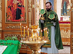 Вербное Воскресенье в Павловске
