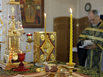 В среду четвертой седмицы Великого поста Преосвященнейший епископ Дионисий совершил Литургию Преждеосвященных Даров в храме Богоявления Господня села Сухой Донец